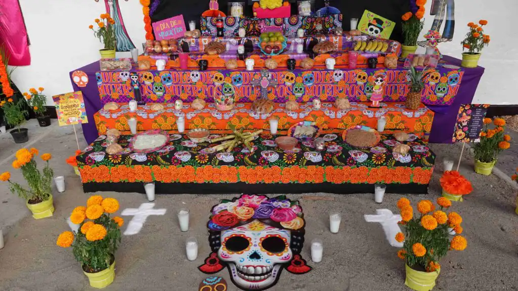 Celebrating Day of The Dead Puerto Vallarta. https://promovisionpv.com/ 1,000 pages