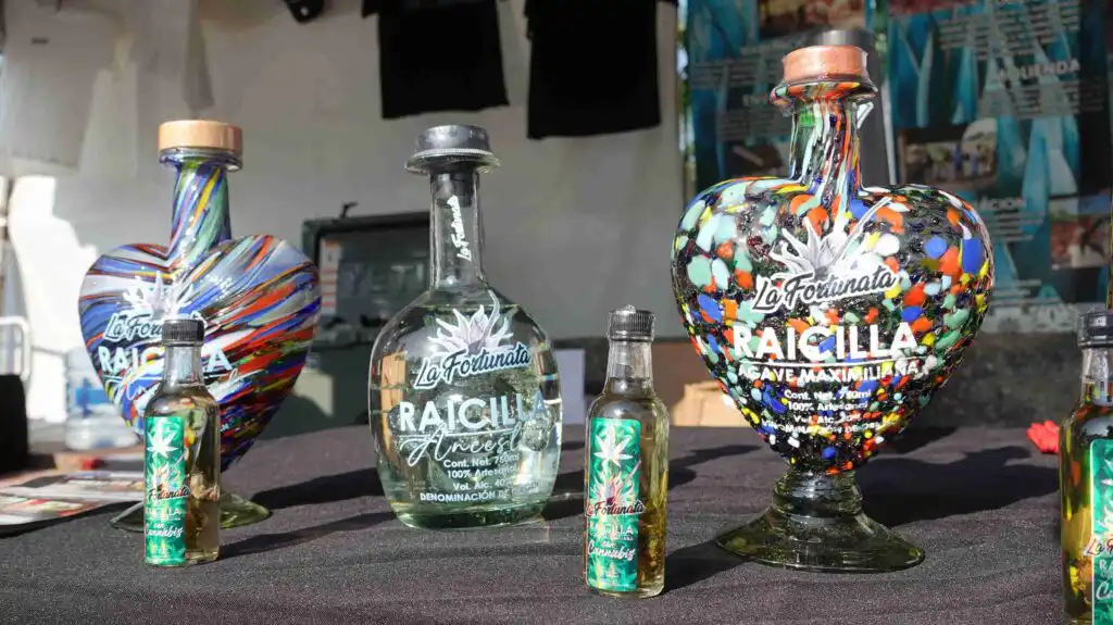 Festival Raicilla