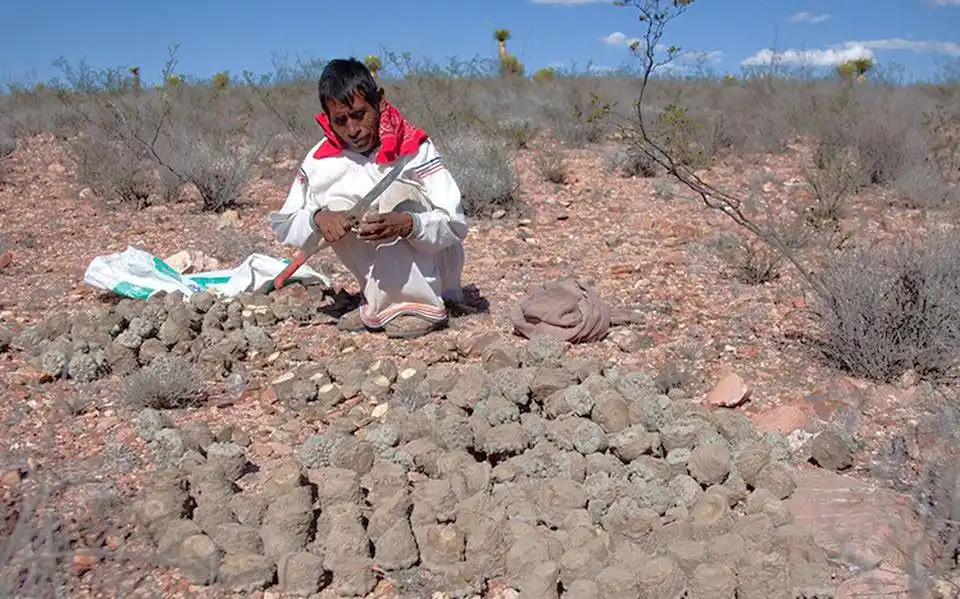 The Symbols of Wixárika Worldview (Huicholes)
