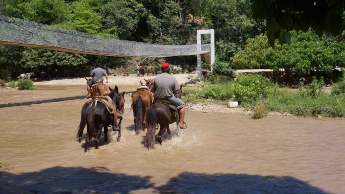 Best Beaches Puerto Vallarta