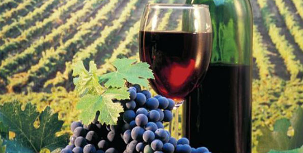 La Route des Vins Jalisc