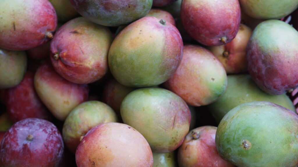 Health: What Mangoes are Good for ?