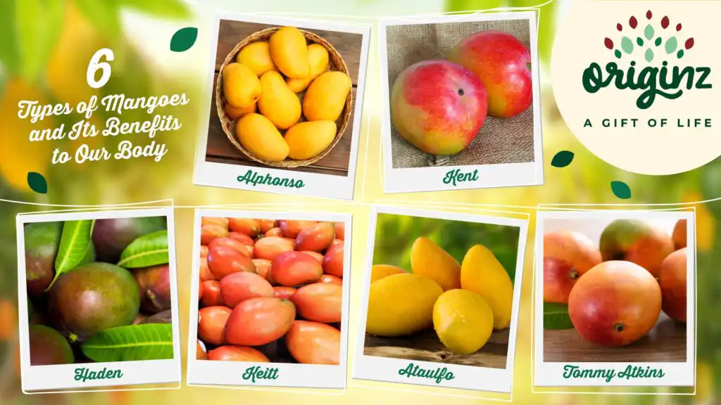 Health: What Mangoes are Good for ?