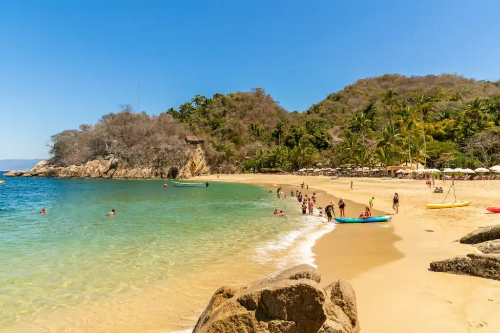 Top Scuba Diving in Puerto Vallarta, Mexico