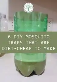 Be prepared for mosquitoes in Puerto Vallarta