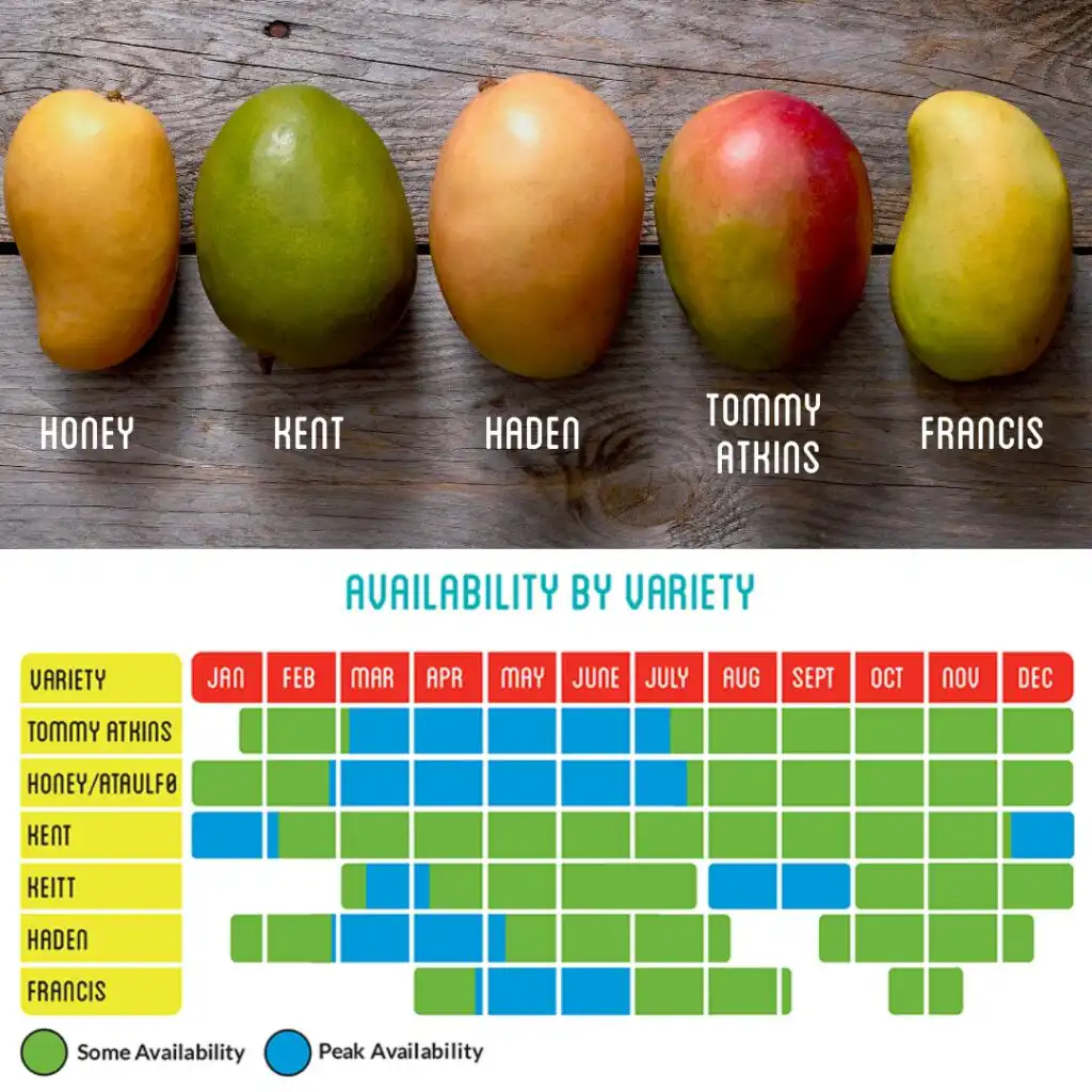 Know your Puerto Vallarta Mangos in Season.