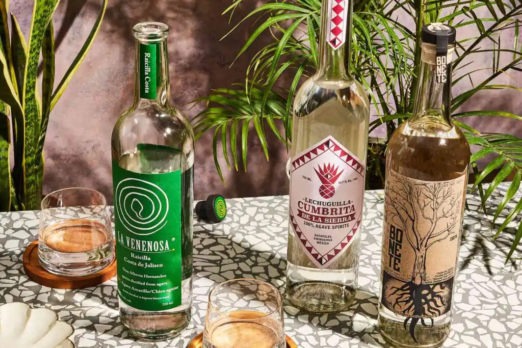 What is Tequila , Mezcal & Raicilla