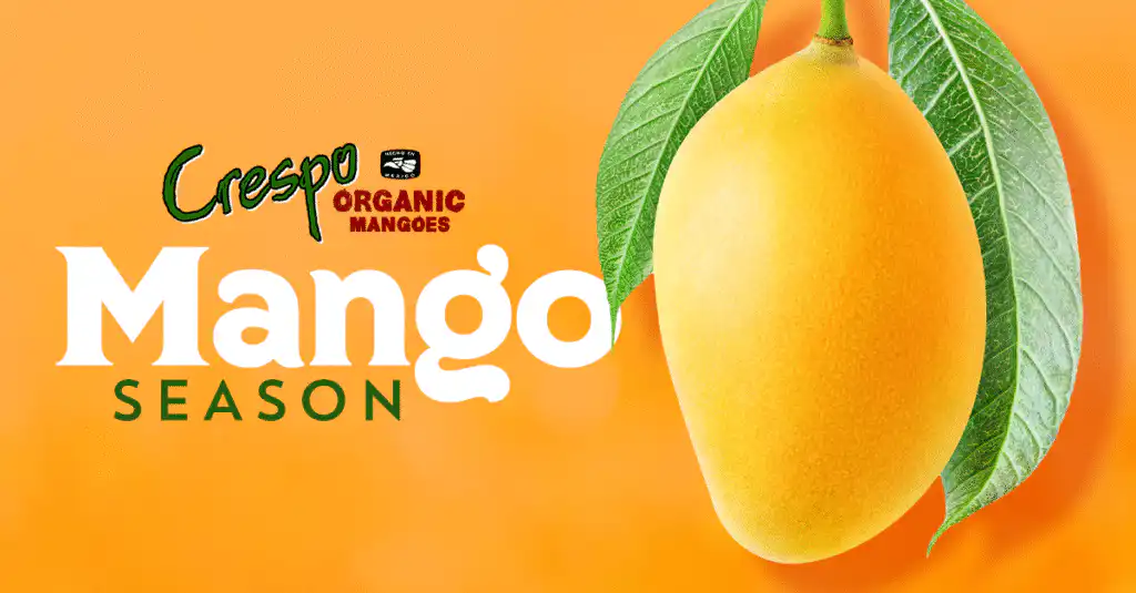 Know your Puerto Vallarta Mangos in Season.