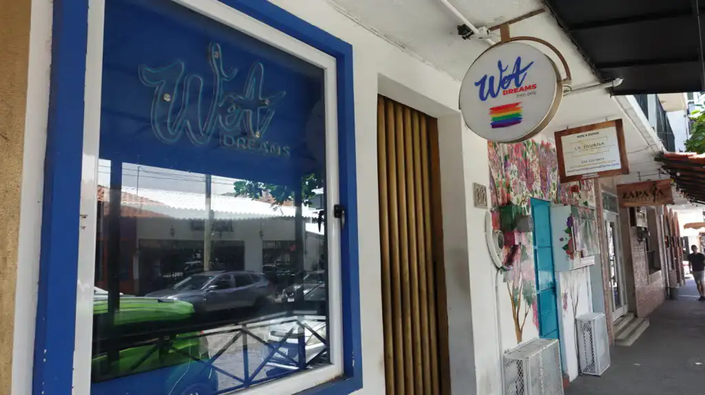 Why is Puerto Vallarta so Popular with LGBTQ+
