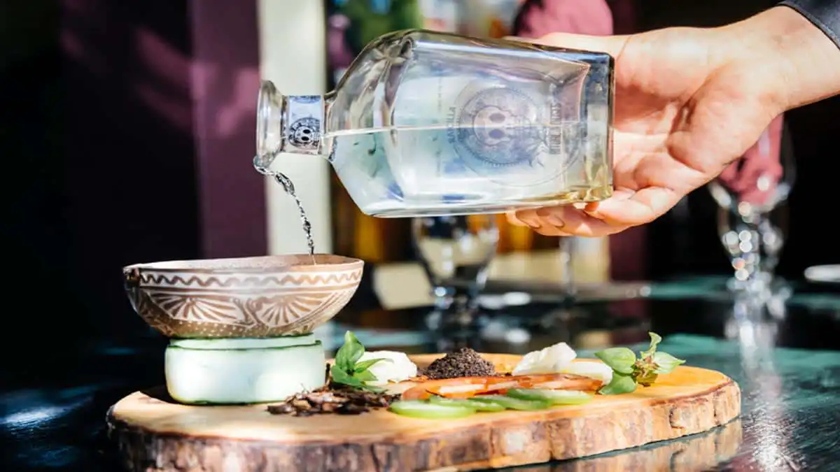 The Raicilla Distilled Spirit