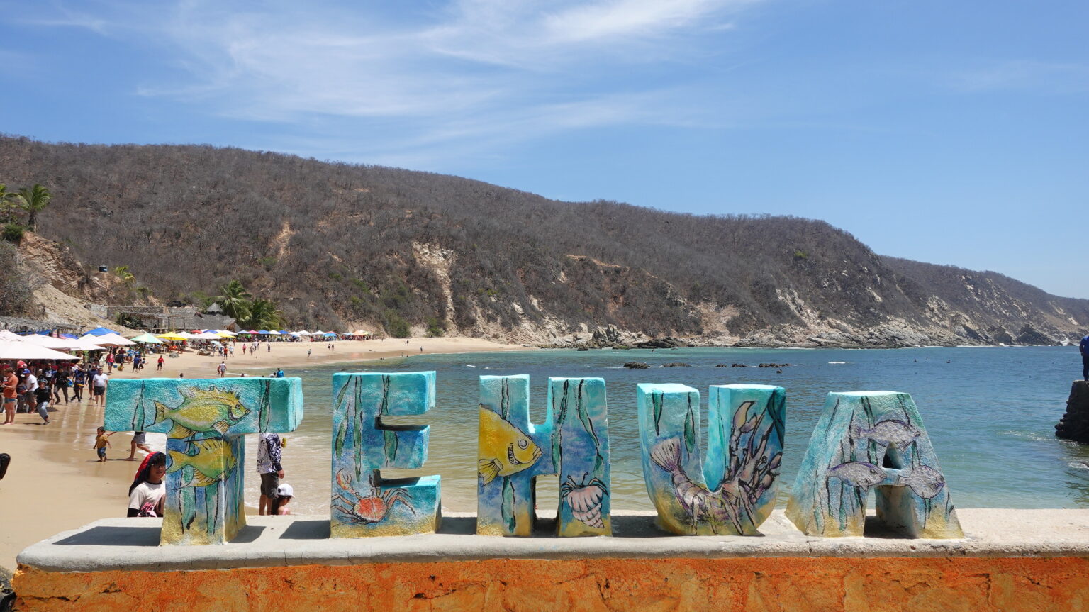 Oyster Festival at Tehuamixtle 2026