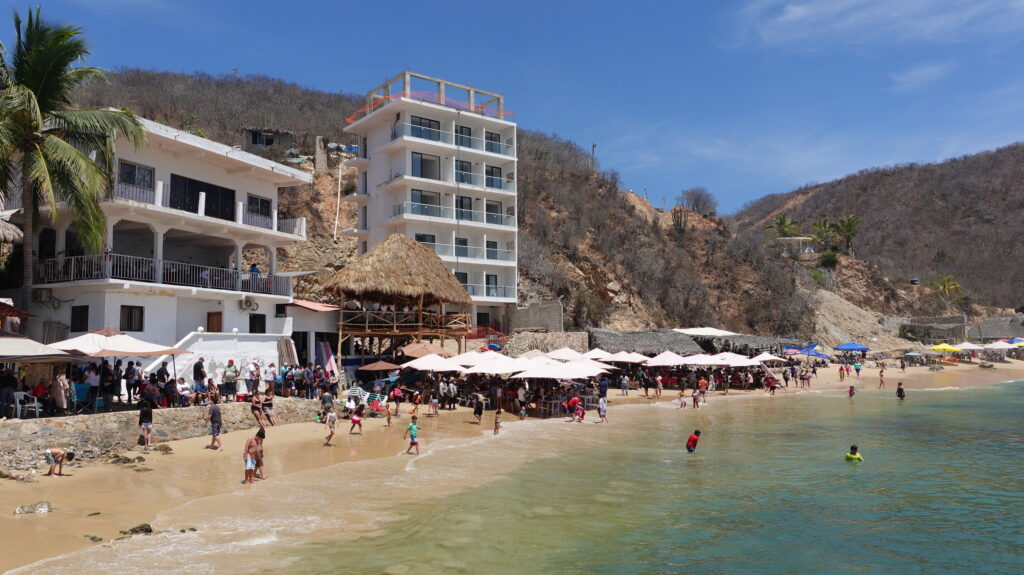 Fish, Seafood, Oysters lovers is Tehuamixtle