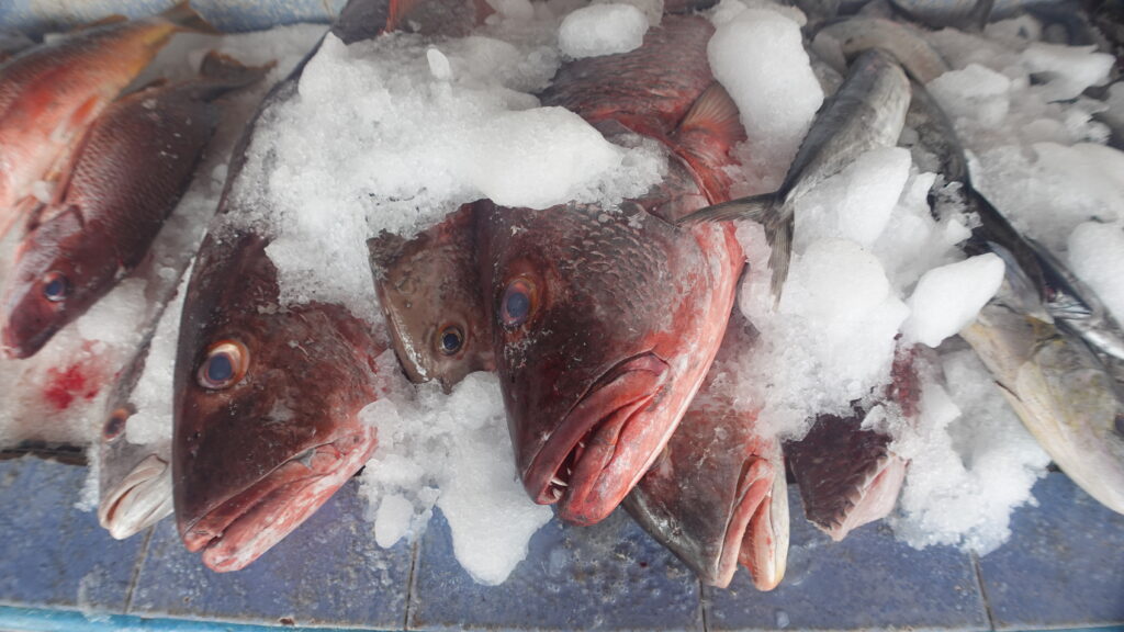 La Cruz de Huanacaxtle Riviera Nayarit Mexico