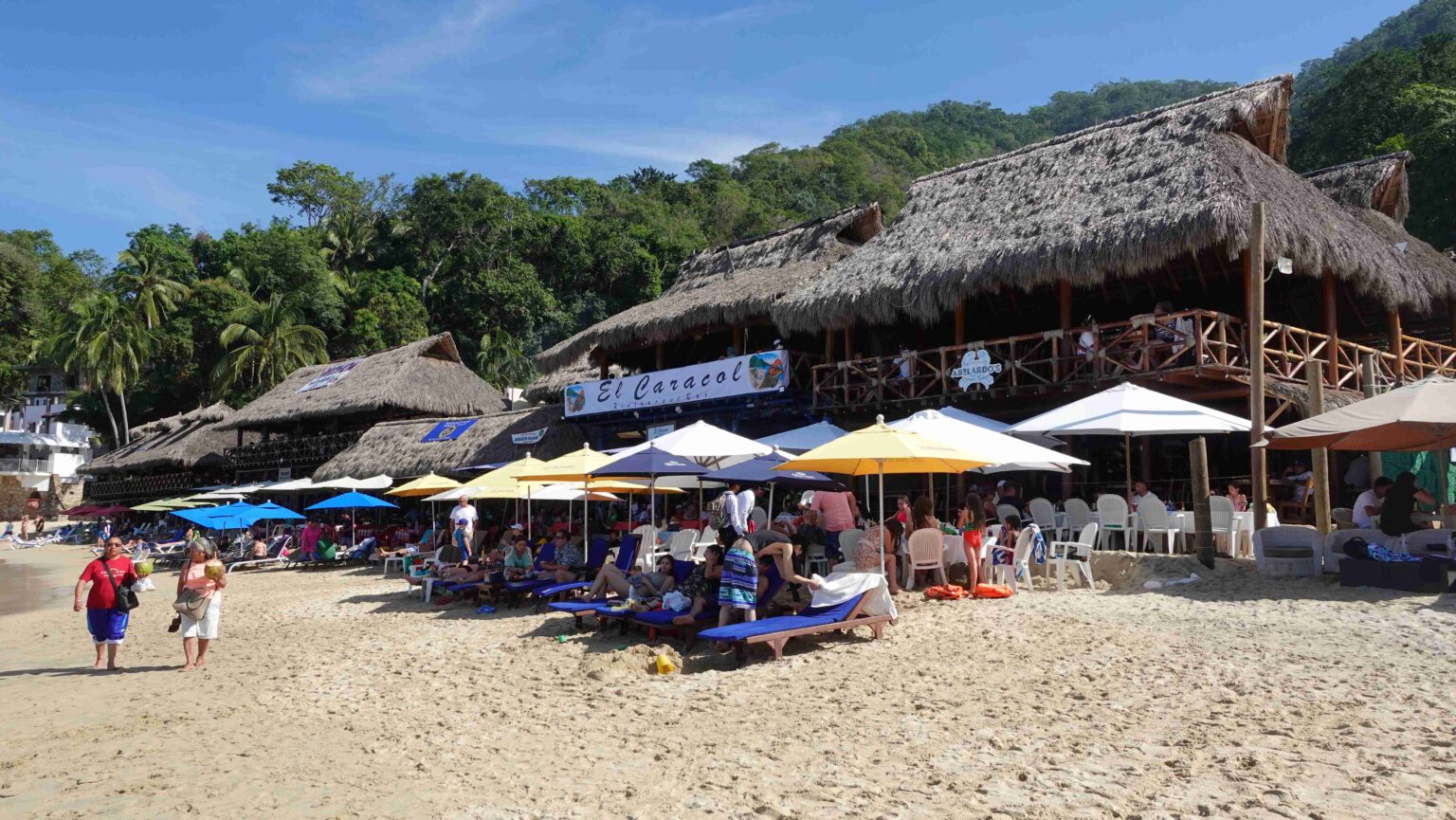 Boat Ride to Las Animas Beach Paradise