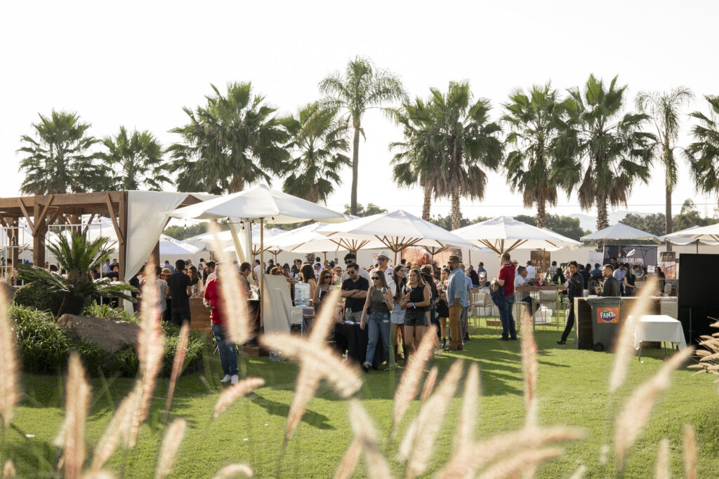 VINOMA Fest 2026 Puerto Vallarta