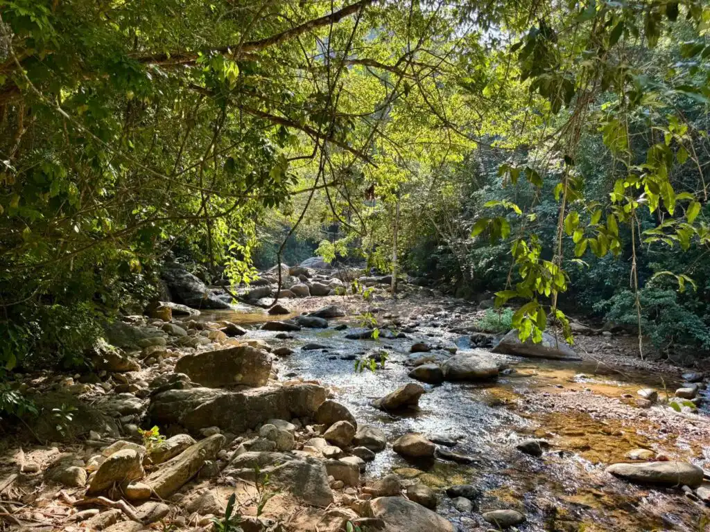 Nogalito EcoPark, Jungle Hike, Waterfalls