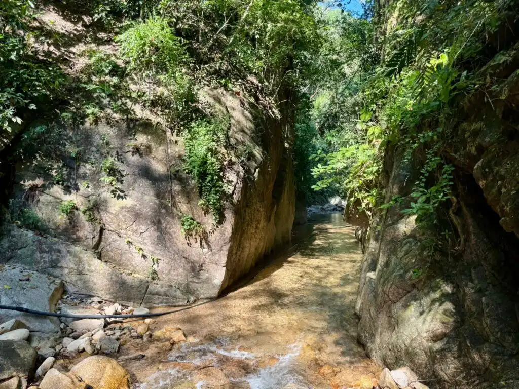 Nogalito EcoPark, Jungle Hike, Waterfalls