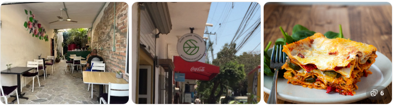 Puerto Vallarta Restaurants Ginger Veggie