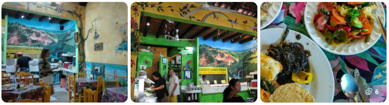 Puerto Vallarta Restaurants Planeta Vegetariano 