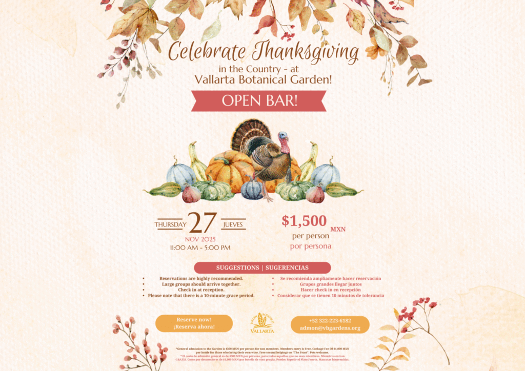 Celebrating Thanks Giving in Puerto Vallarta