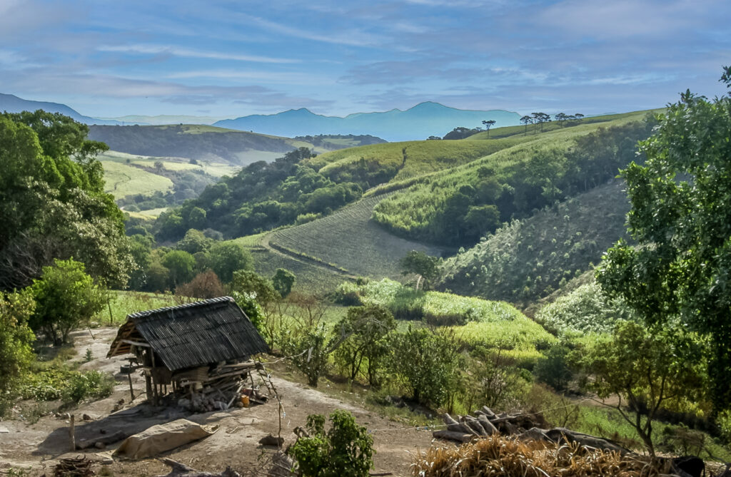 On the Road in Mexico