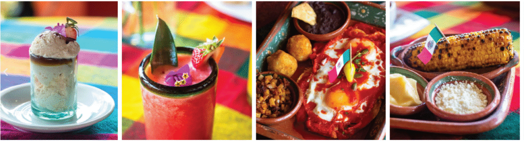 Vallarta Botanical Garden