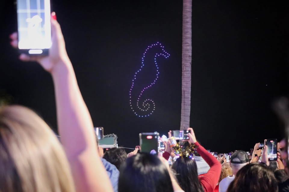 Bonne Année, Feliz Año Nuevo ! Puerto Vallarta