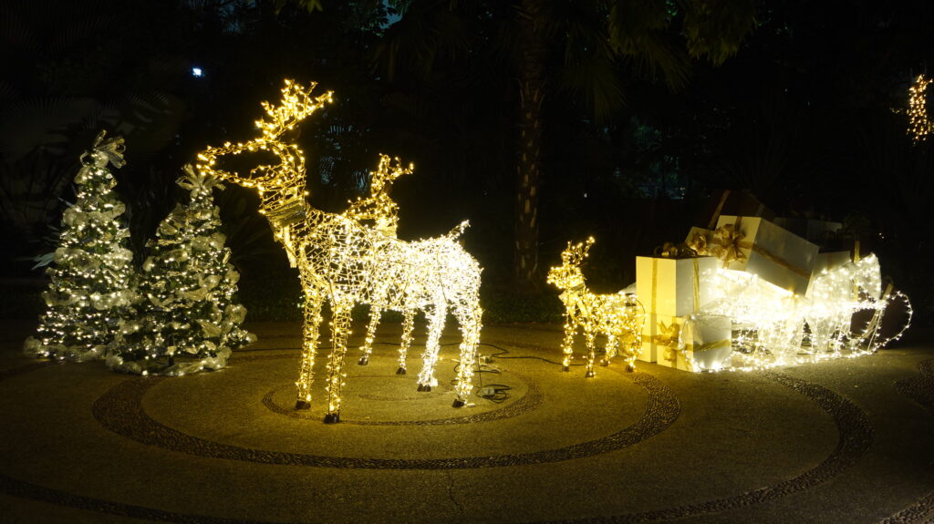 Christmas in Puerto Vallarta