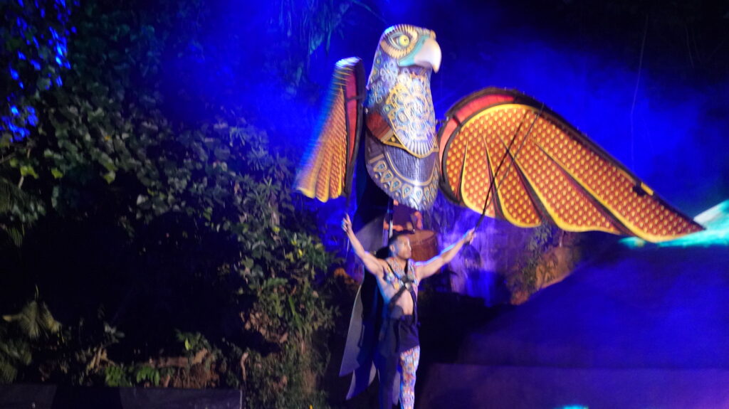 Culinary Experience at Rhythms of The Night