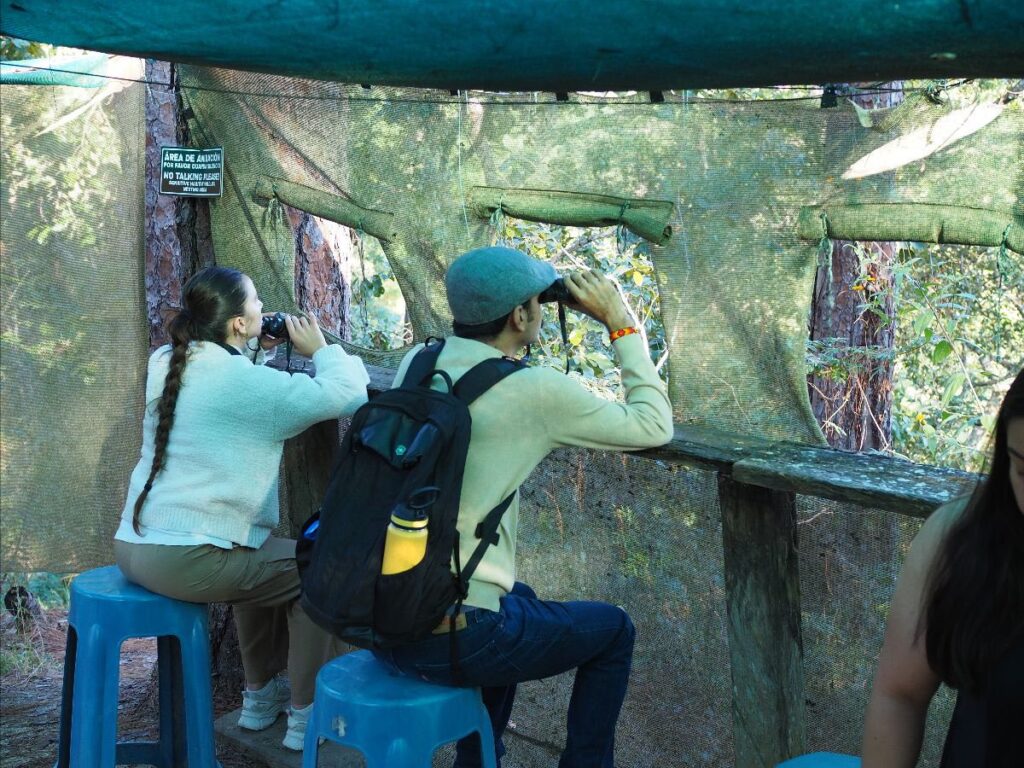 Puerto Vallata Macaw Sanctuary