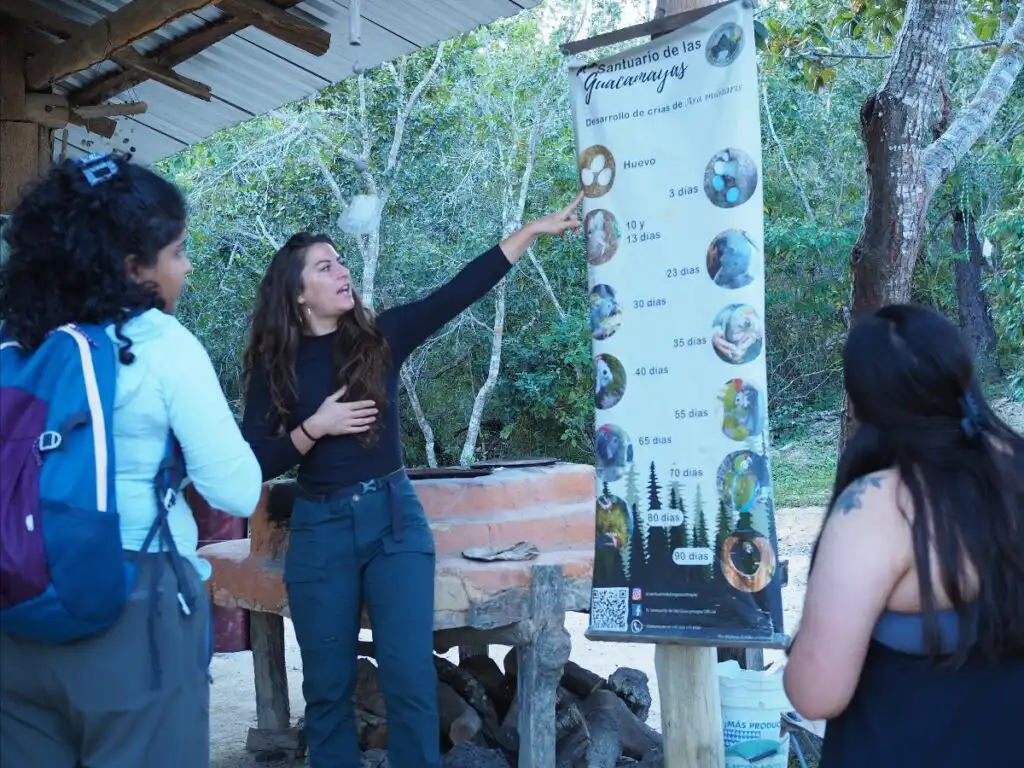 Puerto Vallata Macaw Sanctuary