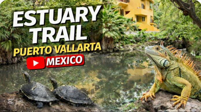 David Living Outdoors