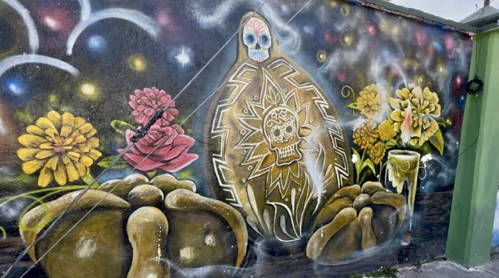 Street Art Walk Puerto Vallarta