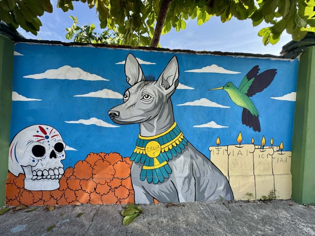 Street Art Walk Puerto Vallarta