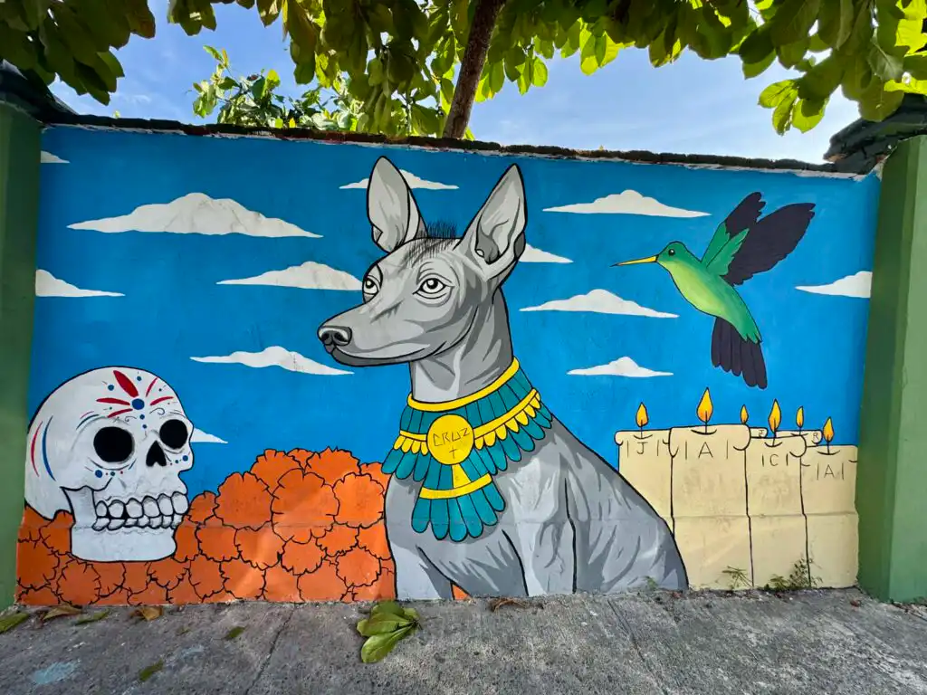 Street Art Walk Puerto Vallarta