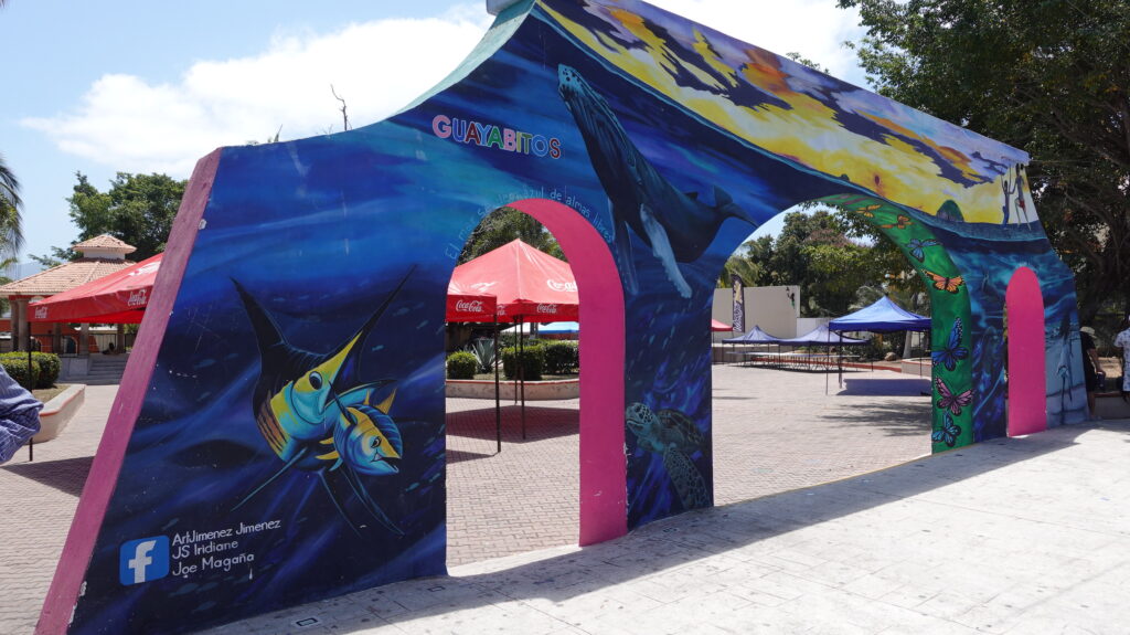 Discover Rincon de Guayabitos Riviera Nayarit