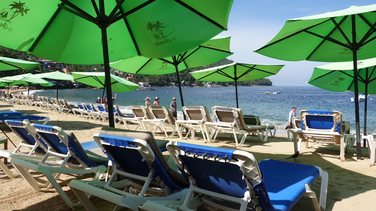 Yelapa Beach Day Trip from Puerto Vallarta