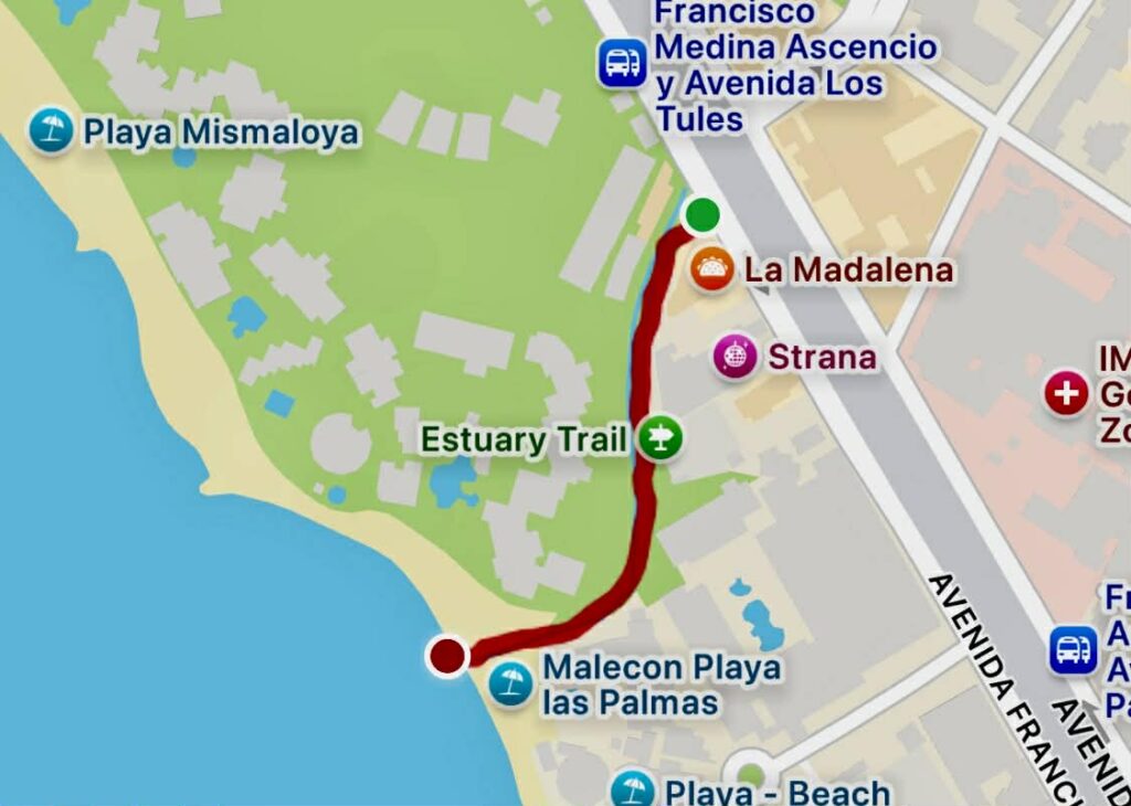 Estuary Trail: A Hidden Wildlife Oasis