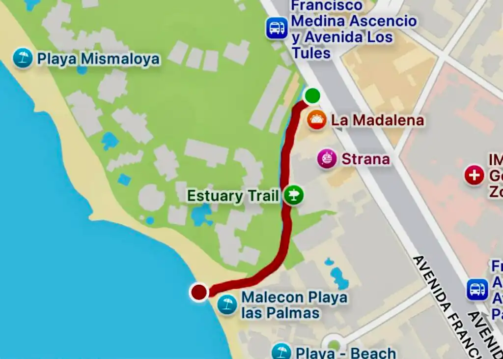 Estuary Trail: A Hidden Wildlife Oasis