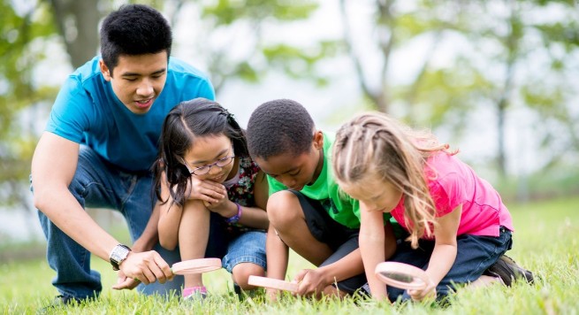 Puerto Vallarta Butterfly Sanctuary