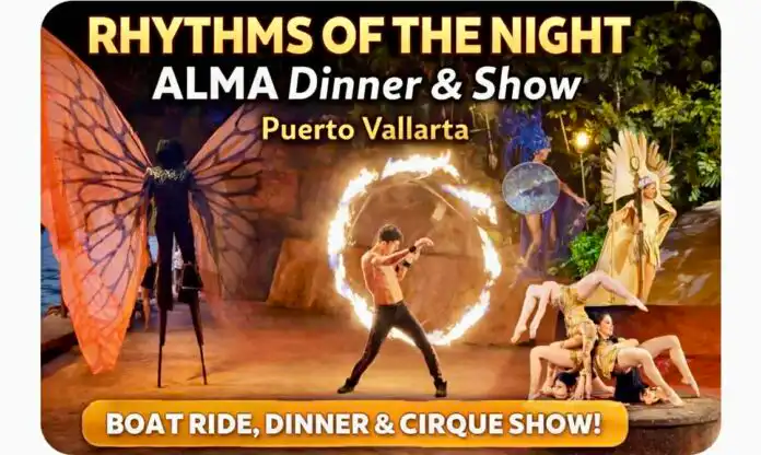 Rhytms of The Night