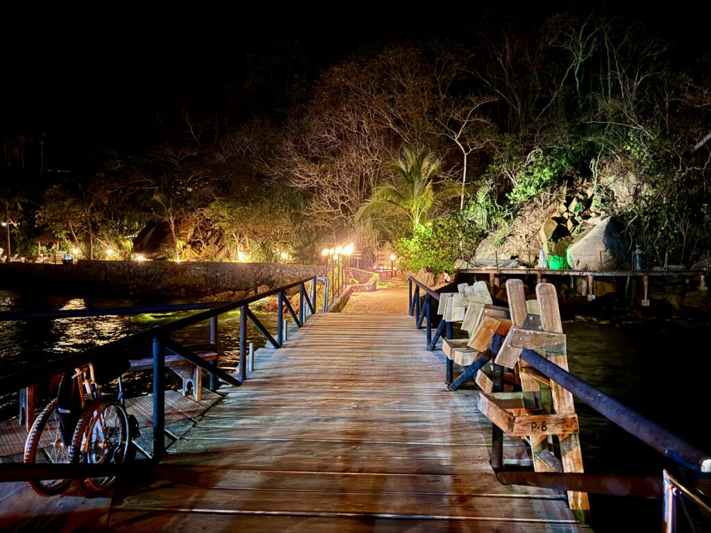 Magic of the Night! Rhythms of the Night