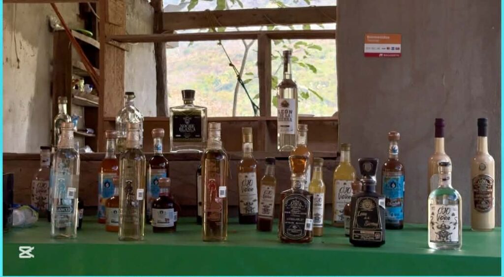 Understanding the Different Types of Tequila