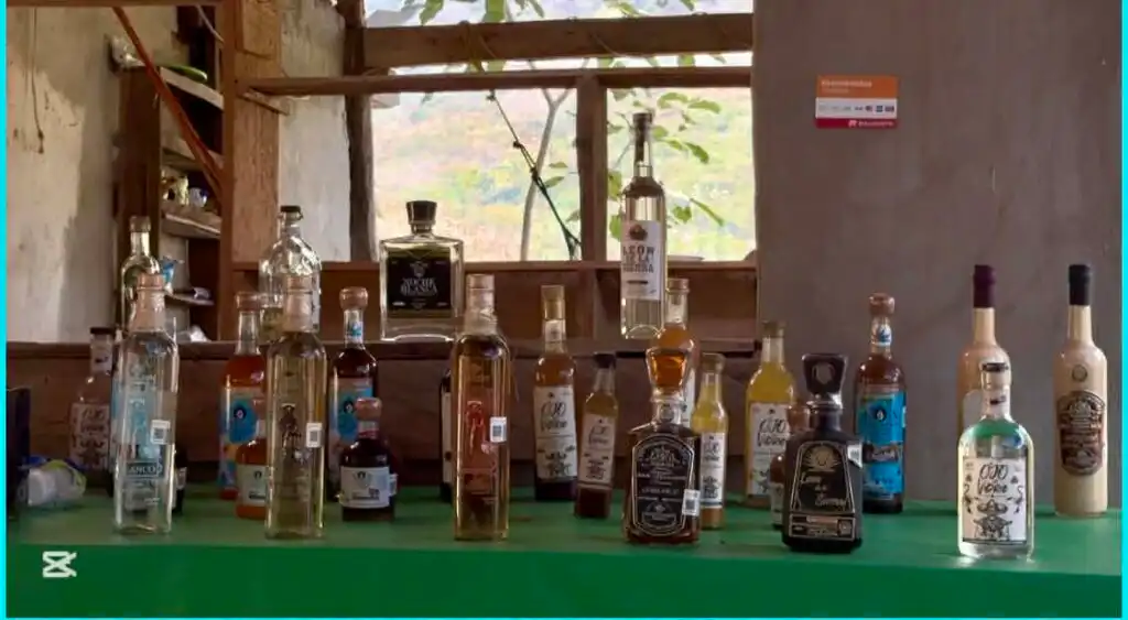 Understanding the Different Types of Tequila Travel Guide Video Review