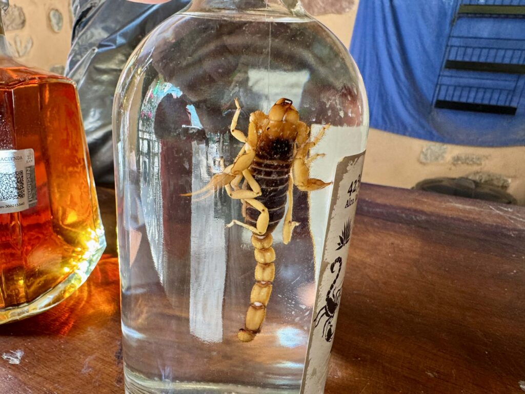 Understanding the Different Types of Tequila