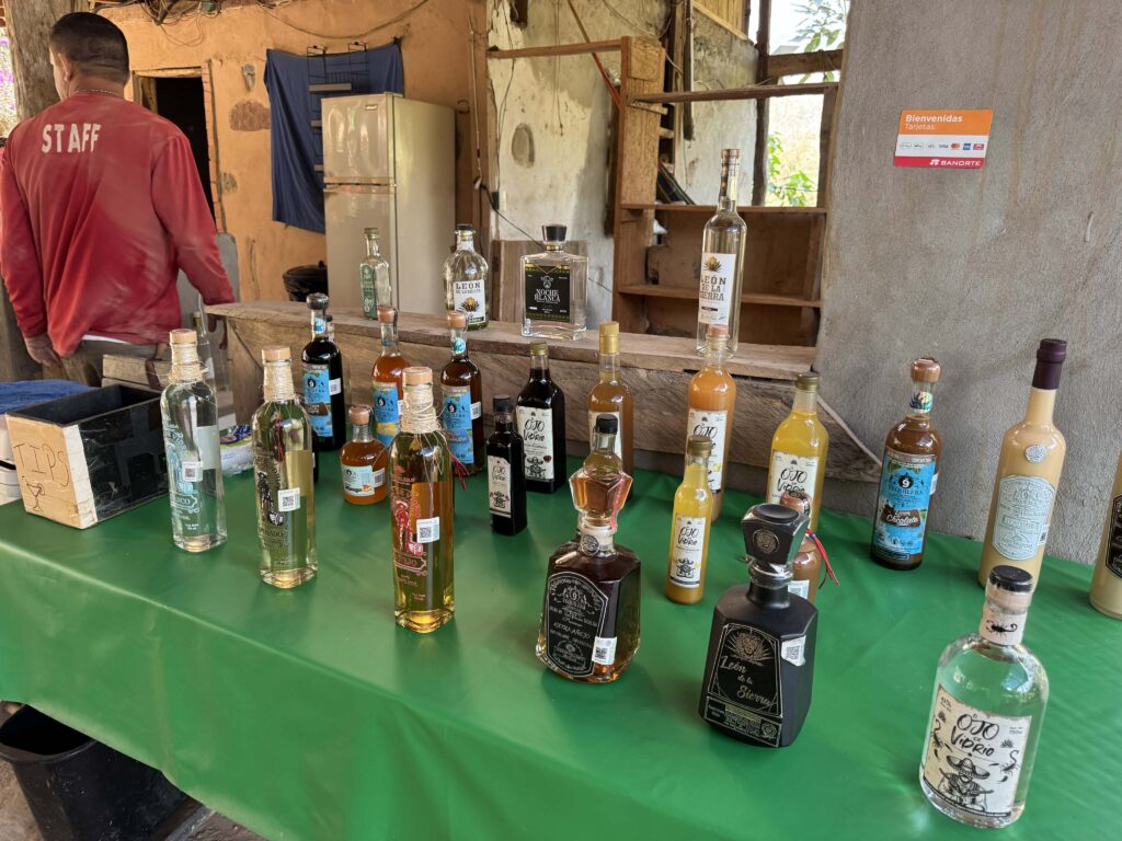 Understanding the Different Types of Tequila