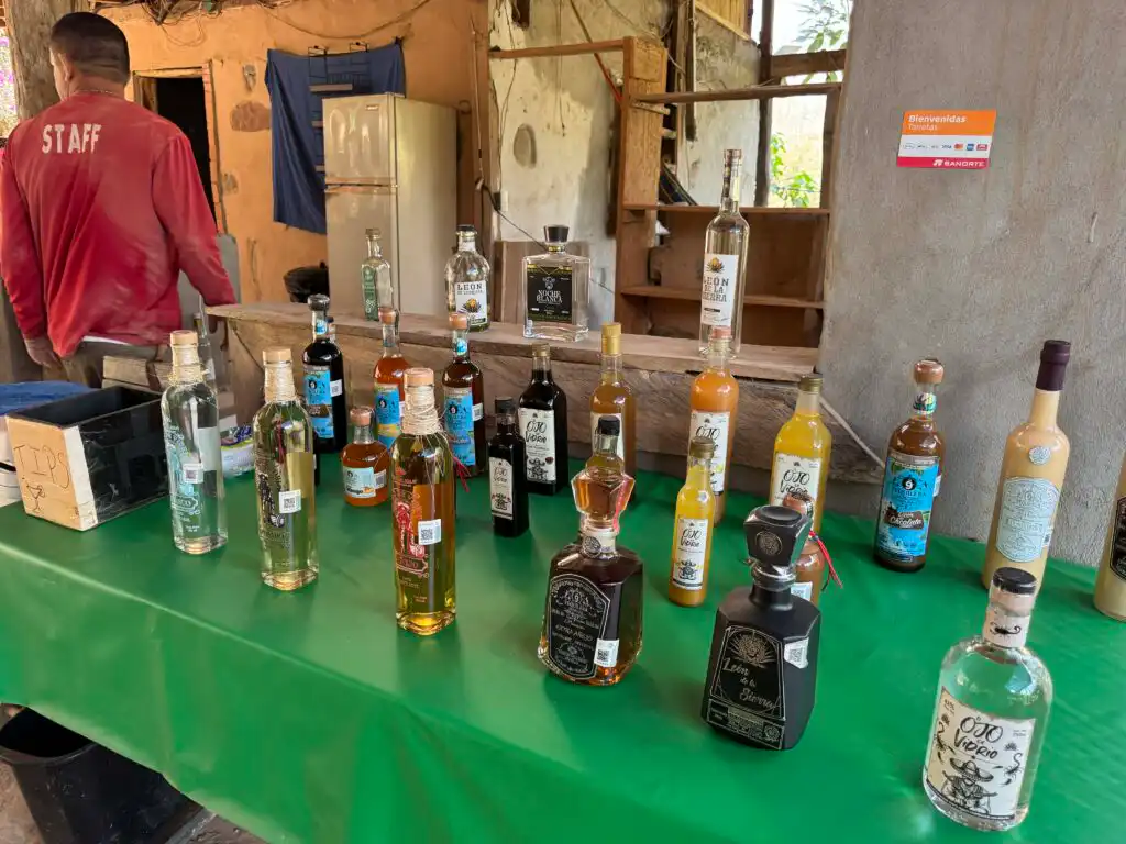 Understanding the Different Types of Tequila Travel Guide Video Review