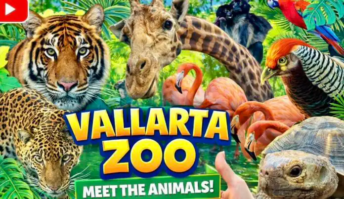 Puerto Vallarta Zoo