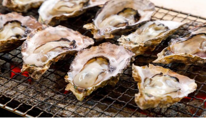 Oyster Festival 2026 Tehuamixtle