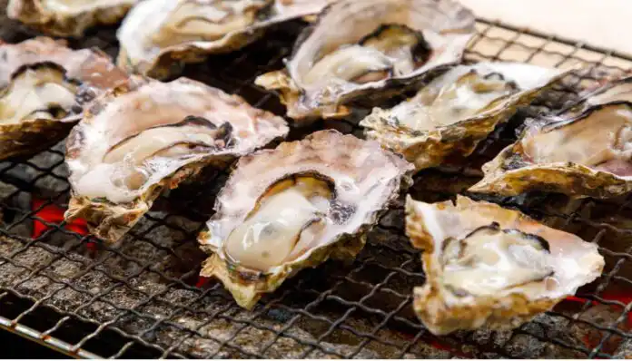 Oyster Festival 2026 Tehuamixtle